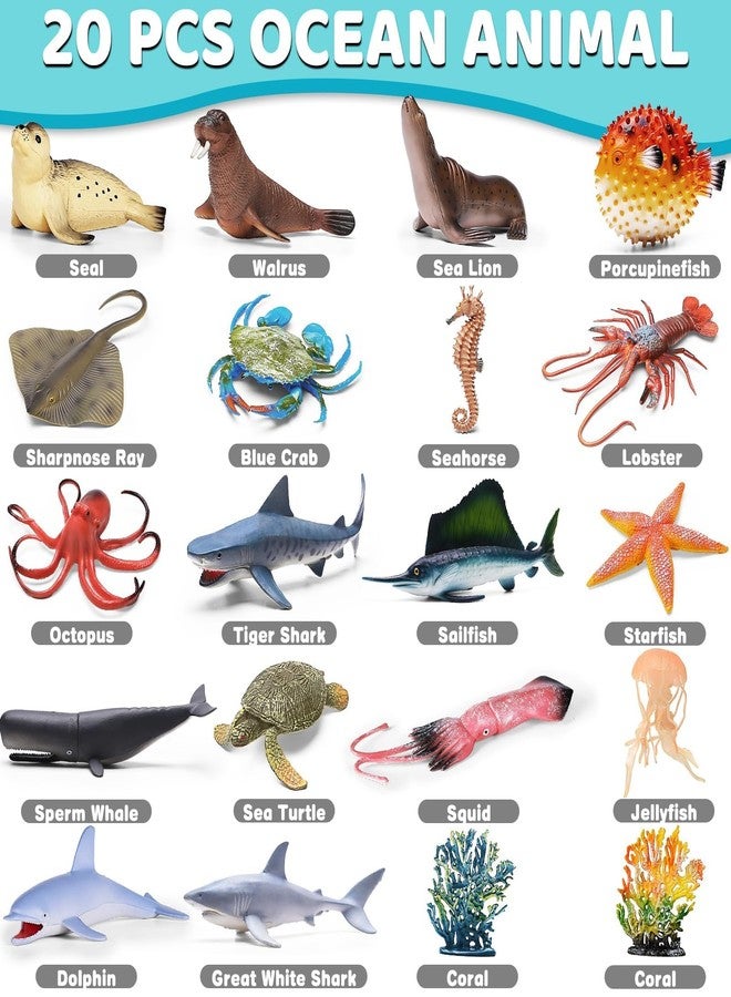 MOEAWS 20 Pcs Ocean Animal Toy with Educational Booklet, Plastic Sea Animal with Gift Box, Mini Sea Creature Figures for Kids Age 3+, Birthday Gift, Ocean Theme Party Favor, Water Bath Toy for Toddler - Image 3